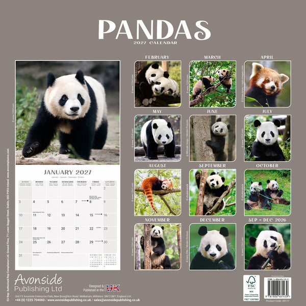 Pandas Calendar 2027