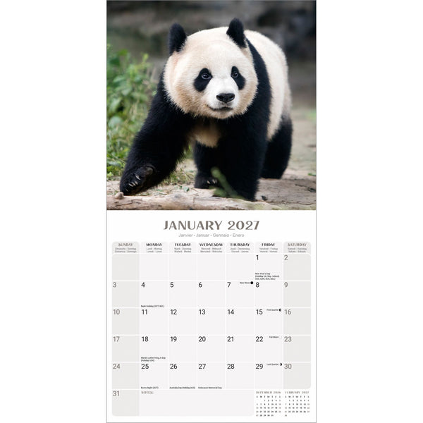 Pandas Calendar 2027