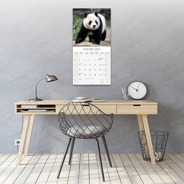 Pandas Calendar 2027