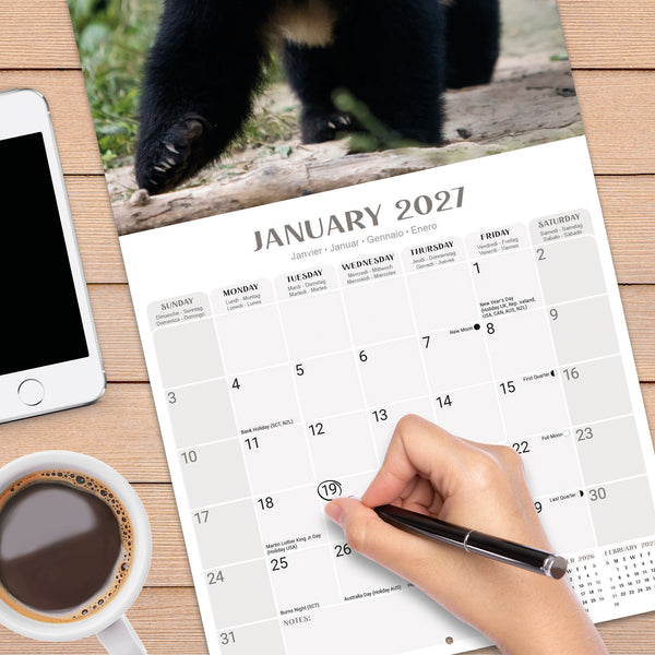 Pandas Calendar 2027