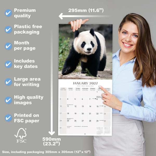 Pandas Calendar 2027