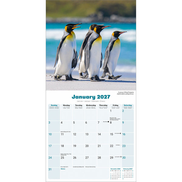 Penguins Calendar 2027