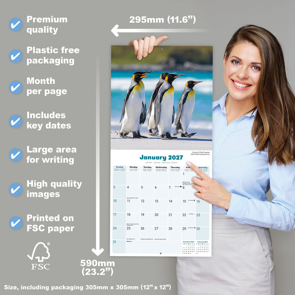 Penguins Calendar 2027