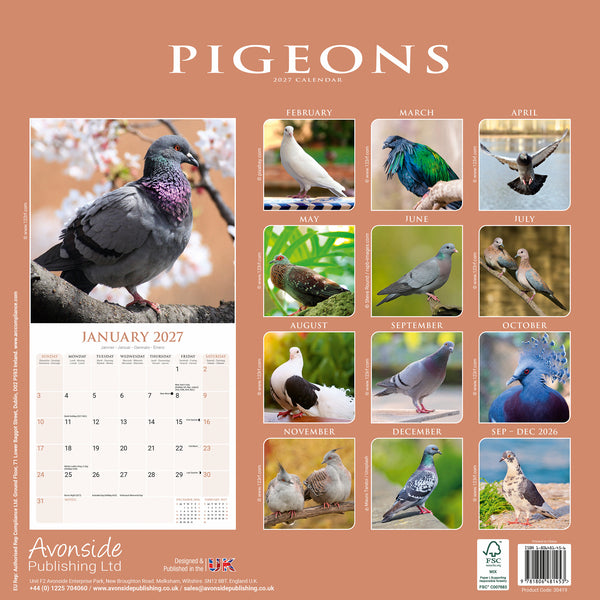 Pigeons Calendar 2027