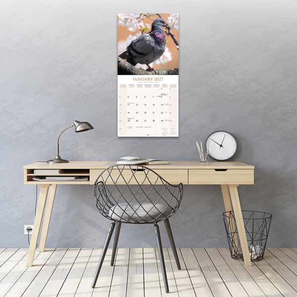Pigeons Calendar 2027