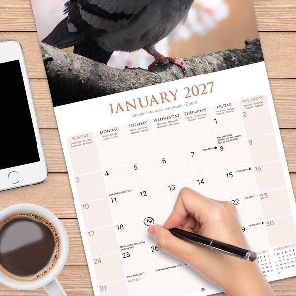 Pigeons Calendar 2027