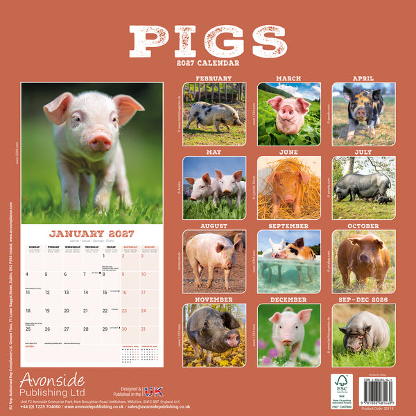 Pigs Calendar 2027