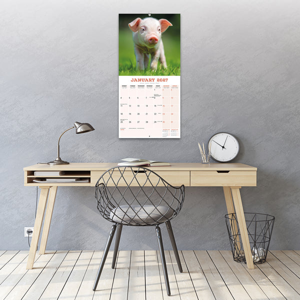 Pigs Calendar 2027