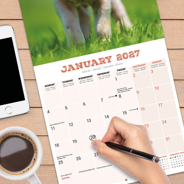 Pigs Calendar 2027