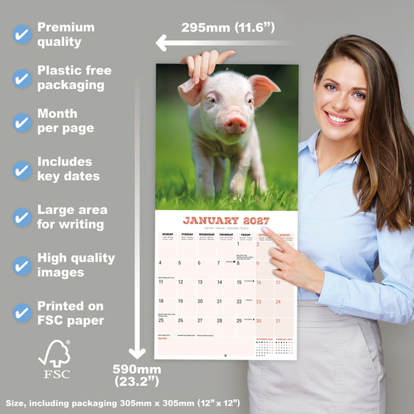 Pigs Calendar 2027