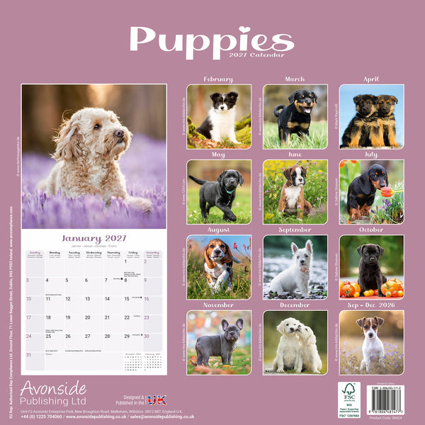 Puppies Calendar 2027