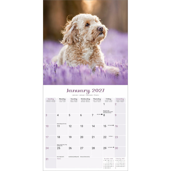 Puppies Calendar 2027