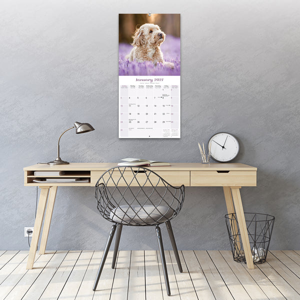Puppies Calendar 2027