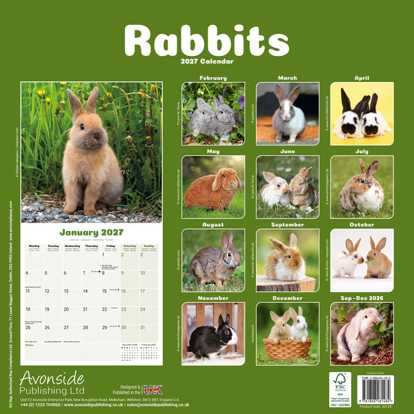 Rabbits Calendar 2027