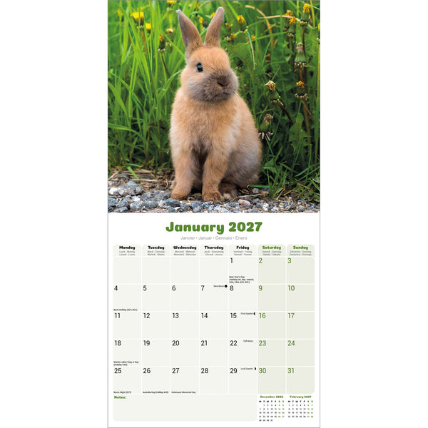 Rabbits Calendar 2027