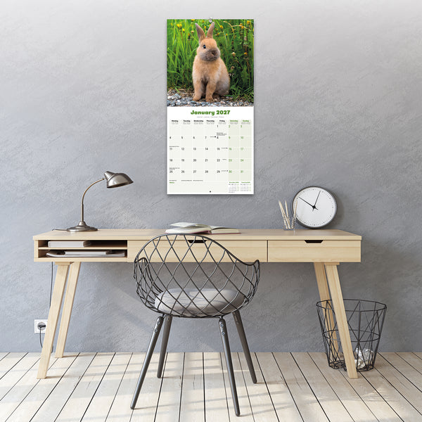 Rabbits Calendar 2027