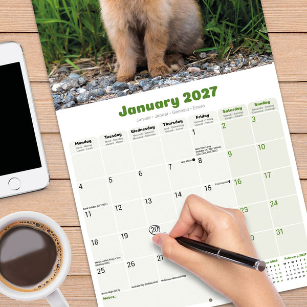 Rabbits Calendar 2027