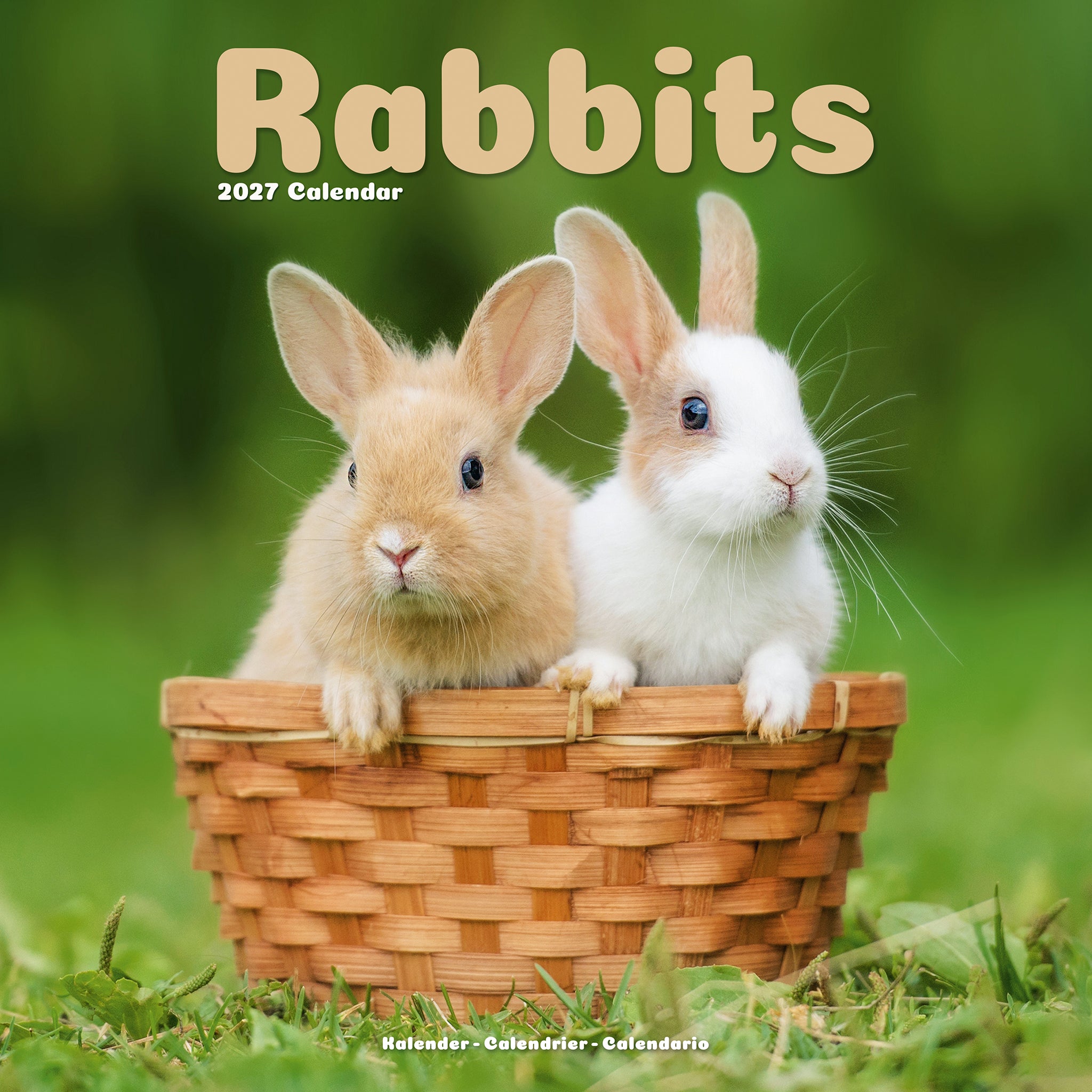 Rabbits Calendar 2027 – Avonside Publishing Ltd