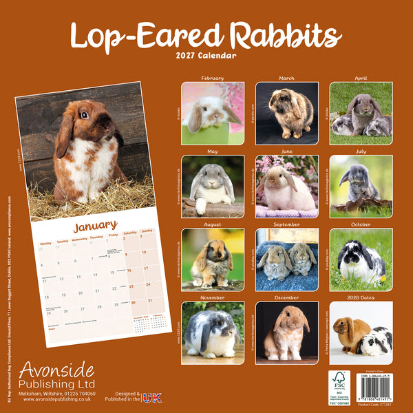 Lop Eared Rabbits Calendar 2027