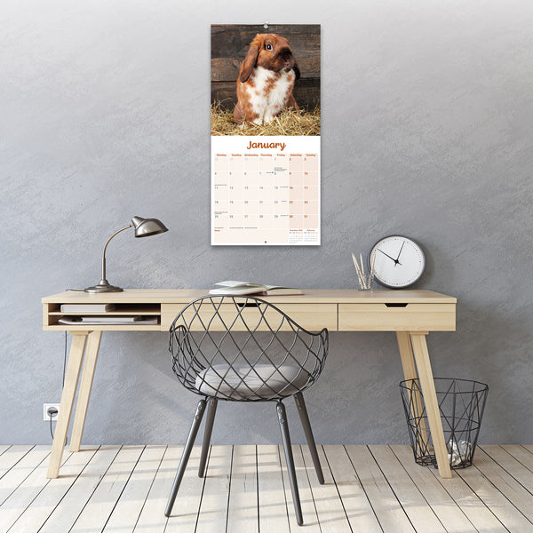 Lop Eared Rabbits Calendar 2027