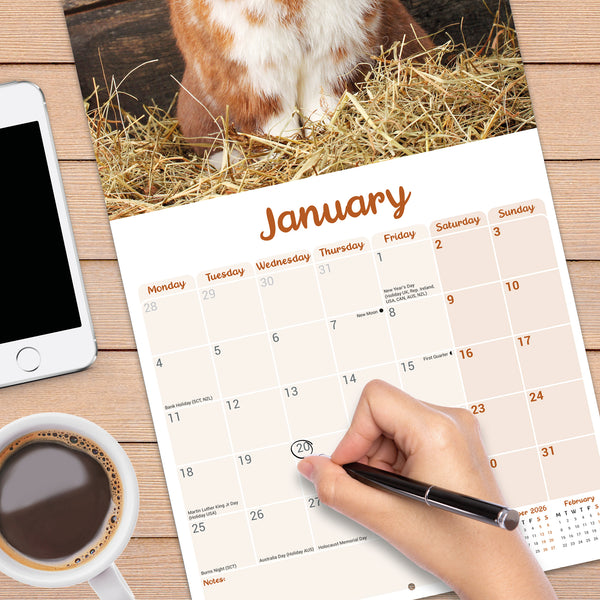 Lop Eared Rabbits Calendar 2027