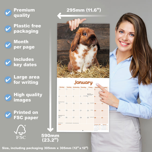 Lop Eared Rabbits Calendar 2027