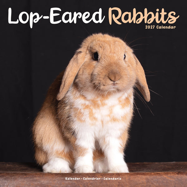 Lop Eared Rabbits Calendar 2027