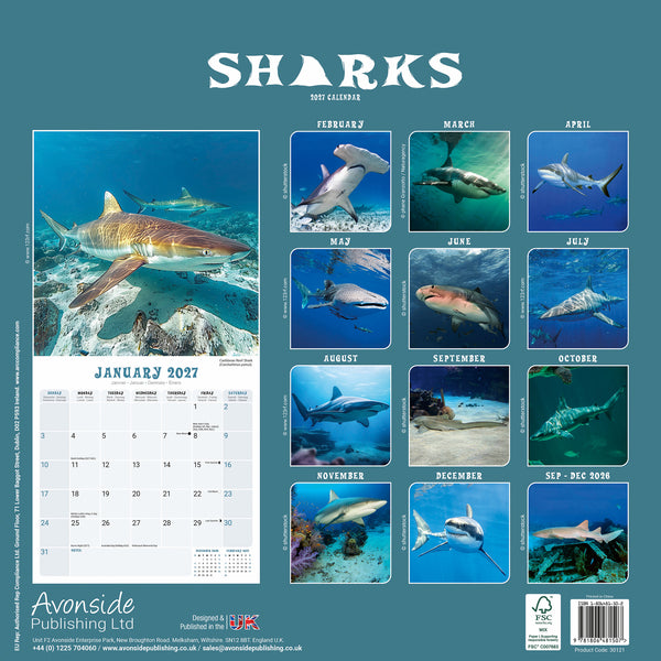 Sharks Calendar 2027