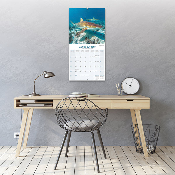 Sharks Calendar 2027