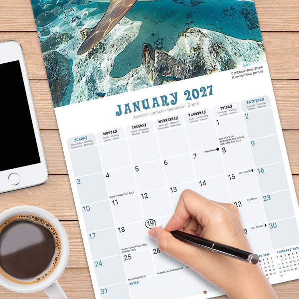 Sharks Calendar 2027