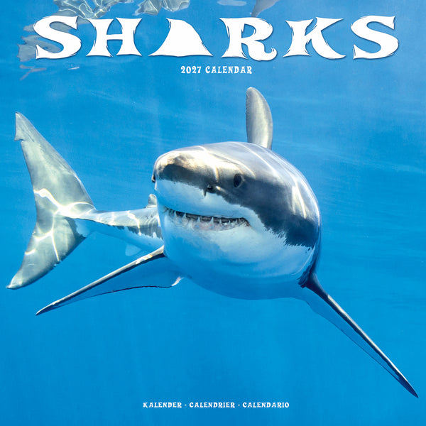 Sharks Calendar 2027