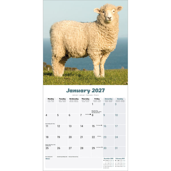 Sheep Calendar 2027