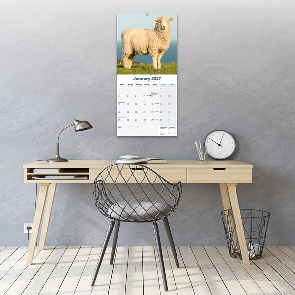 Sheep Calendar 2027
