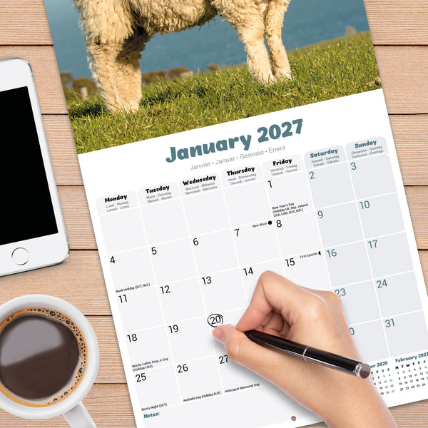 Sheep Calendar 2027
