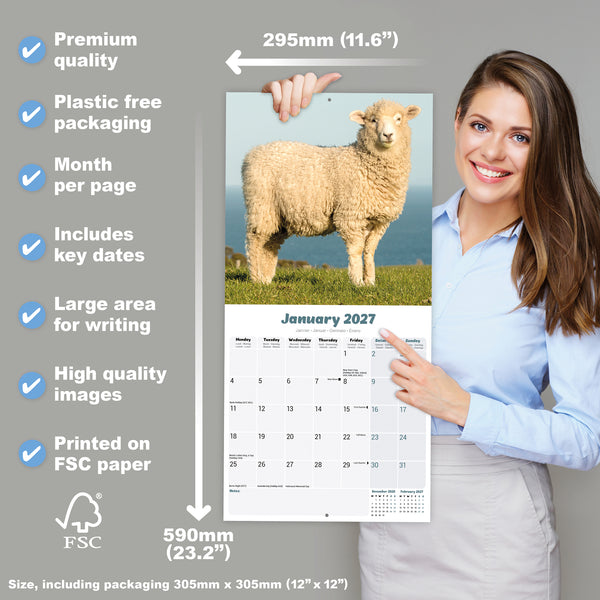 Sheep Calendar 2027
