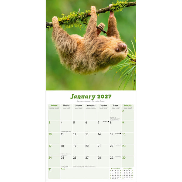 Sloths Calendar 2027