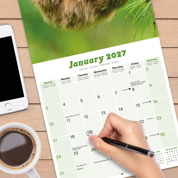 Sloths Calendar 2027