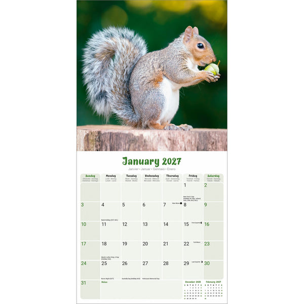 Squirrels Calendar 2027