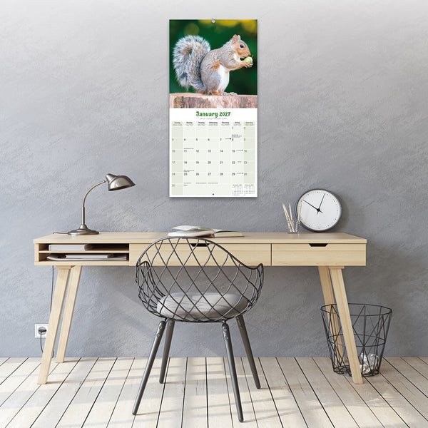 Squirrels Calendar 2027