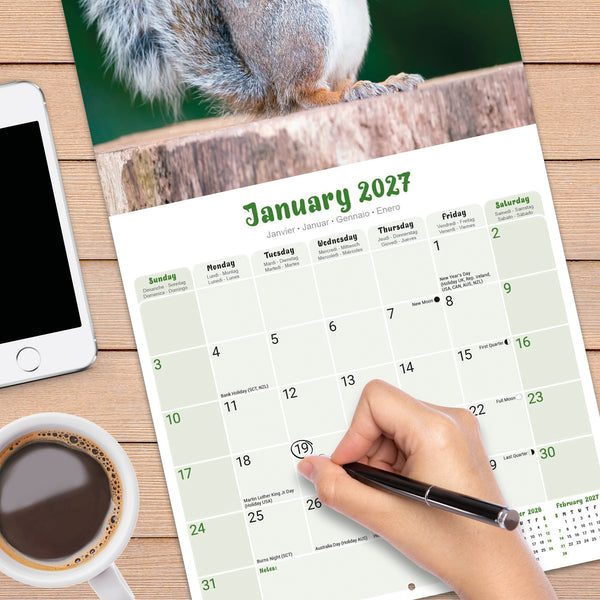 Squirrels Calendar 2027