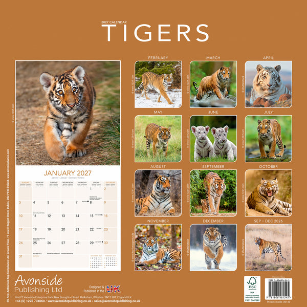 Tigers Calendar 2027