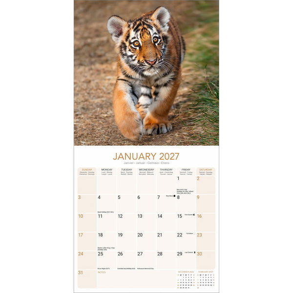 Tigers Calendar 2027