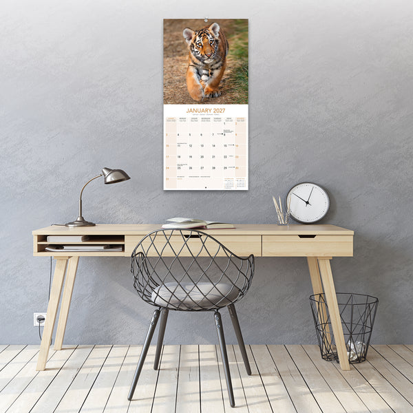 Tigers Calendar 2027