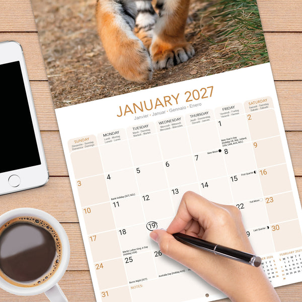 Tigers Calendar 2027