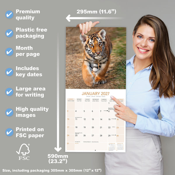 Tigers Calendar 2027