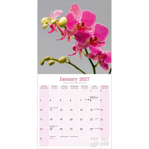 Orchids Calendar 2027