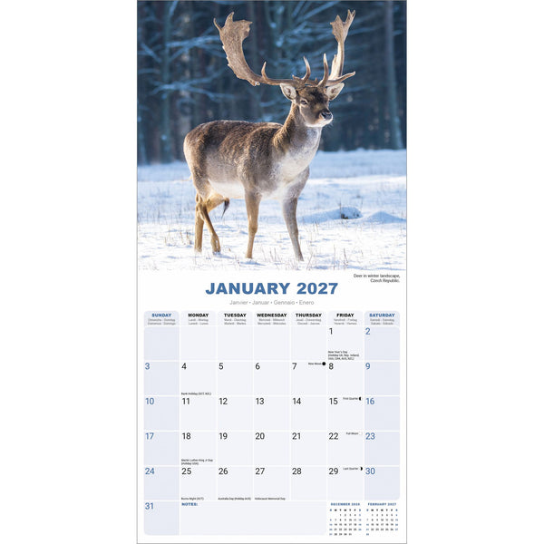 Seasons Calendar 2027