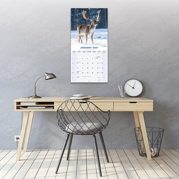 Seasons Calendar 2027