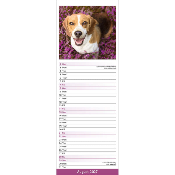 Beagle Calendar 2027 Slimline