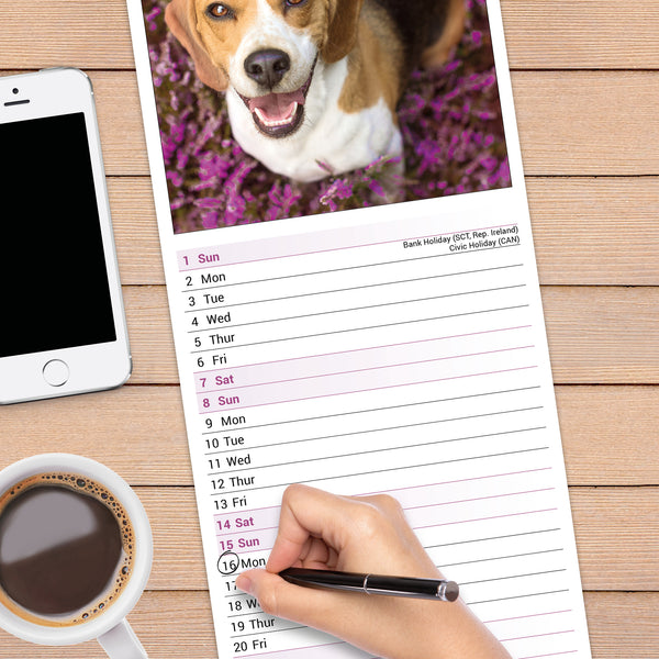 Beagle Calendar 2027 Slimline